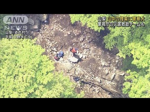 山中の捜索に警察犬　警視庁災害救助チームも　山梨(2022年5月10日)