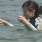 夏の海水浴シーズンを前に　兵庫県豊岡市の竹野浜海水浴場などで水質調査　県の職員が海水を採取