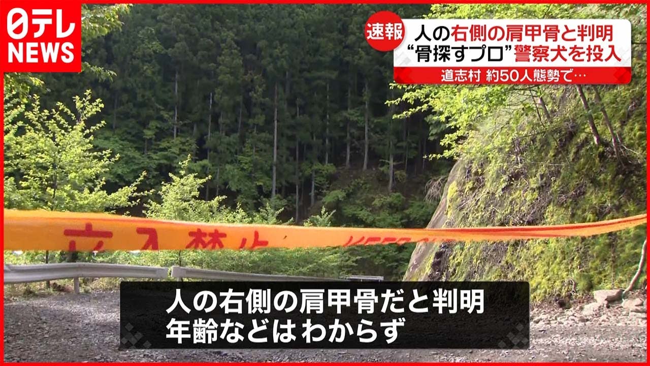 【山梨･道志村】捜索開始から２週間 “骨探すプロ”警察犬２頭を投入