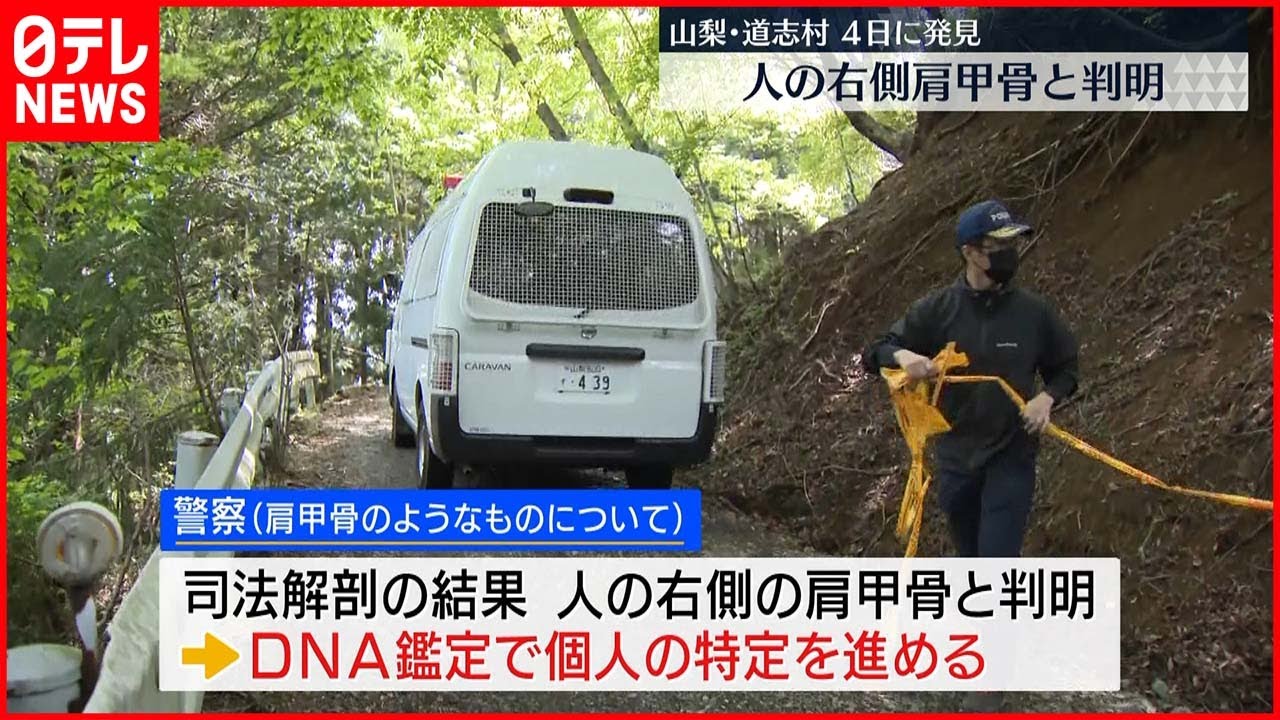 【山梨・道志村】山中で発見の骨は“人の右側の肩甲骨”