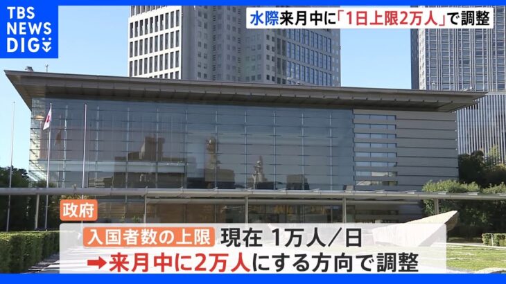 政府、来月中にもコロナ水際対策「１日２万人」に緩和で調整　検査体制も簡素化へ｜TBS NEWS DIG