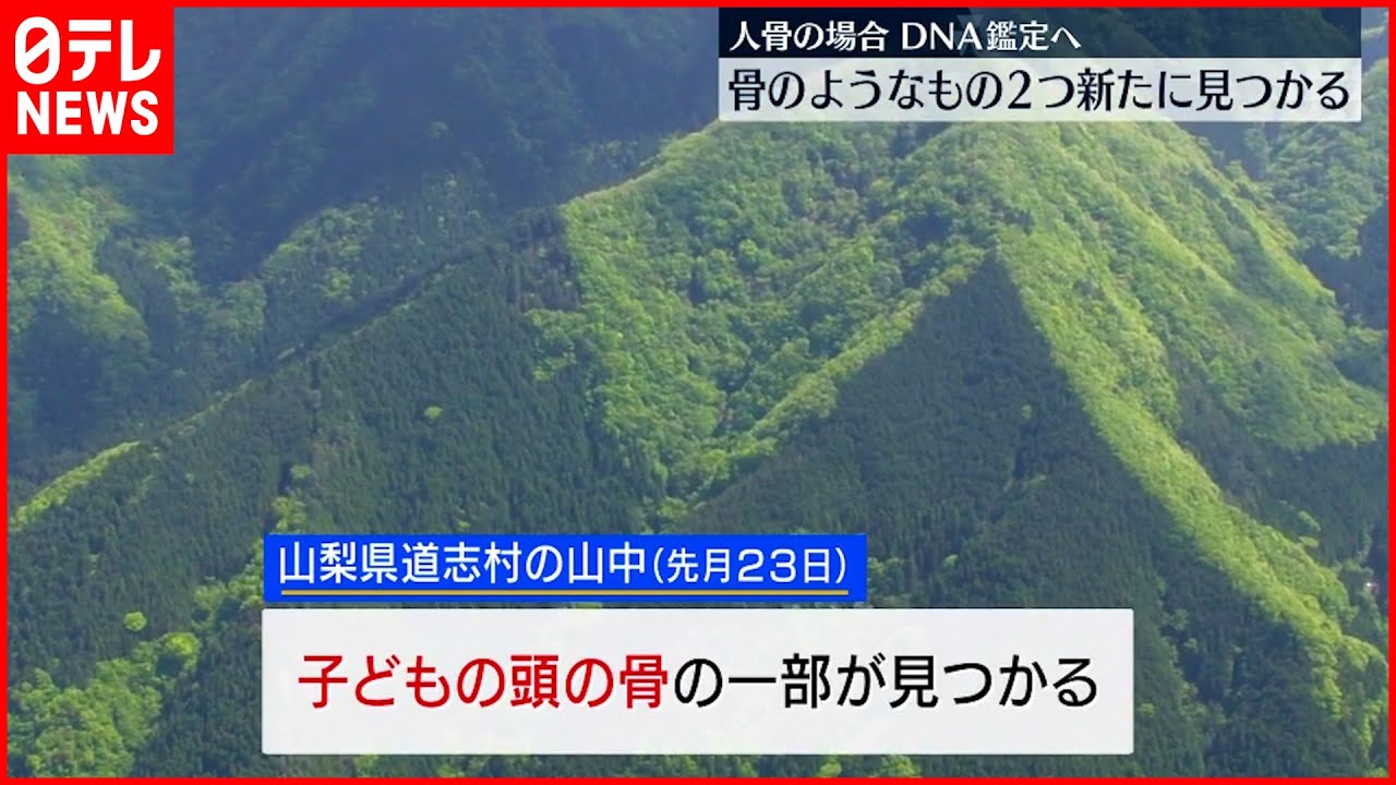 【山梨･道志村】新たな２つの骨のようなものは“枯れ沢”で発見