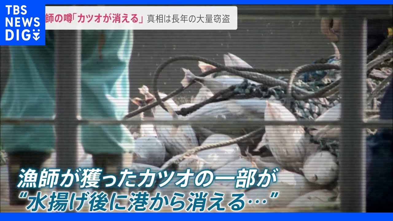 「獲ったカツオが港で消える…」水揚げ日本一・焼津漁港の“黒い噂”…その真相は大量窃盗｜TBS&nbsp;NEWS&nbsp;DIG