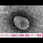 【速報】北朝鮮で新型コロナ・オミクロン株の感染者を初確認　北朝鮮メディア(2022年5月12日)