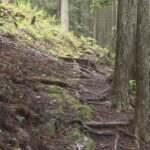 奈良・十津川村の熊野古道　ガイド同行ツアー参加の男性が滑落死　濡れた登山道で足を滑らせたか