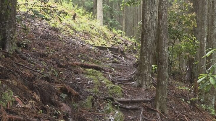 奈良・十津川村の熊野古道　ガイド同行ツアー参加の男性が滑落死　濡れた登山道で足を滑らせたか