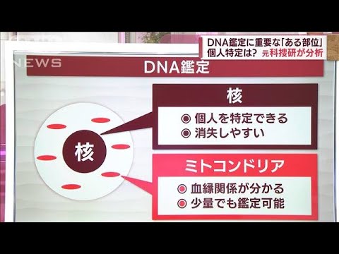 【解説】発見の骨「血縁関係矛盾なし」のワケ　元科捜研が分析(2022年5月13日)