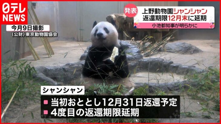 【パンダ】「シャンシャン」中国への返還期限が１２月末まで延期 上野動物園