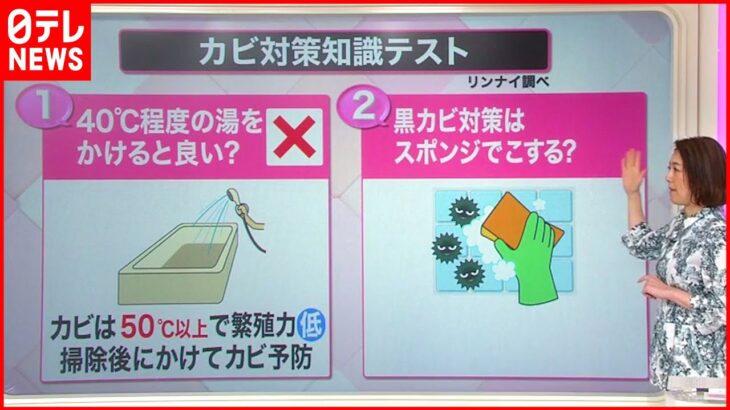 【解説】正しいカビ対策 黒カビをこすってはダメ？浴室掃除では天井が最重要？