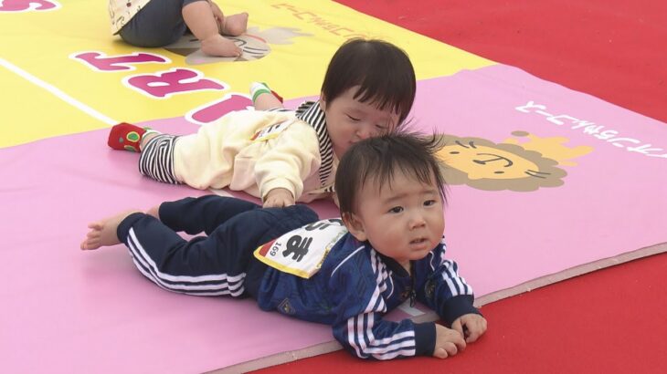 中にはスタート地点で泣き出す子も…赤ちゃんがハイハイの速さを競うレース　大阪城公園で開催