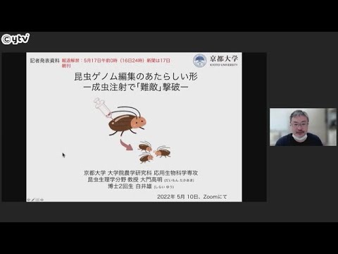 京都大学　昆虫での「ゲノム編集」　新たな手法を開発　ゴキブリを使って成功