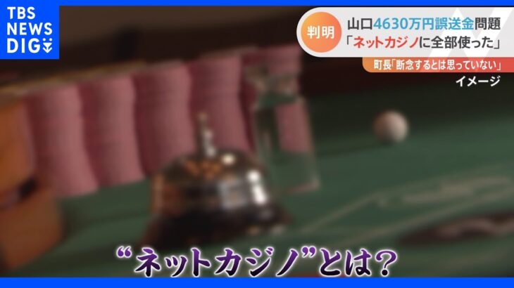 ネットカジノとは？国際カジノ研究所・所長に聞く「すぐに大金がなくなることは？」山口4630万円誤送金問題｜TBS NEWS DIG