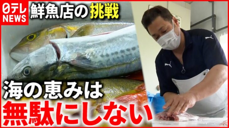 【挑戦】魚の搾りかすでメロンが育つ⁉ 鮮魚店が目指す海と人の”豊かな循環”　長崎　NNNセレクション