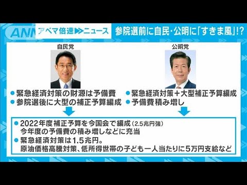 【解説】まもなく参院選　自公にすきま風のワケは？　政治部・野中里紗記者【ABEMA NEWS】(2022年5月18日)