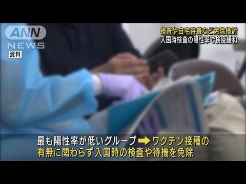 入国時検査の陽性率で検疫緩和　検査や待機の免除も(2022年5月19日)