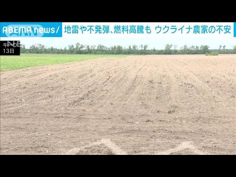 燃料高騰や畑に地雷・・・ウクライナの農業“深刻”(2022年5月19日)