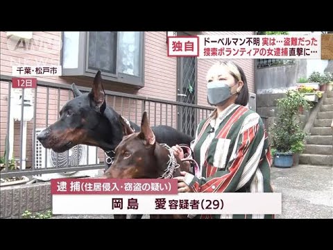 【独自】ドーベルマン不明・・・実は盗難　逮捕前に女を直撃！(2022年5月19日)