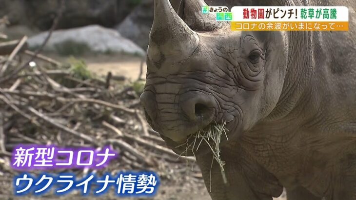 『乾草』１．５倍に高騰で…「園内の木をみんなで切ってエサに」動物園がピンチ！（2022年5月19日）