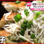 【こだわり】餃子の新スタイル 続々登場
