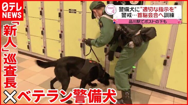 【ベテラン警備犬】バイデン大統領の来日に向け…“新人”巡査長が訓練