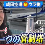 【空港】日本でココだけ!飛行機を巧みに誘導する”会社員“の仕事「成田空港舞台裏」