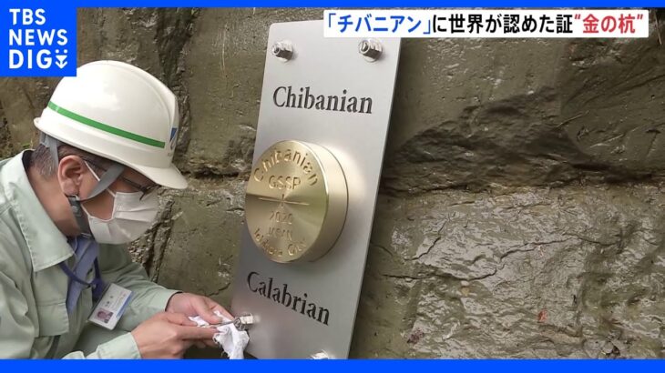 日本初“チバニアン”を世界が認めた証の「ゴールデンスパイク」設置 地球のN極とS極が逆転した痕跡｜TBS NEWS DIG