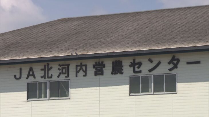 学校給食用コメ納入の精米工場にハトのフン　市教委が立ち入り調査　「ハトは１年以上前から」　大阪