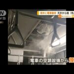 【恐怖】倒木に電車衝突・・・天井から煙「死ぬかと」(2022年5月23日)