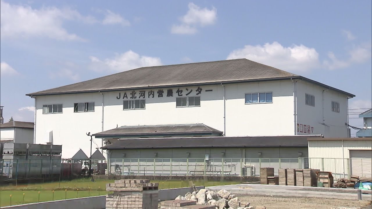 保健所がＪＡ北河内に衛生管理の改善求める　精米工場にハトのフンが大量に落ちていた問題　枚方市
