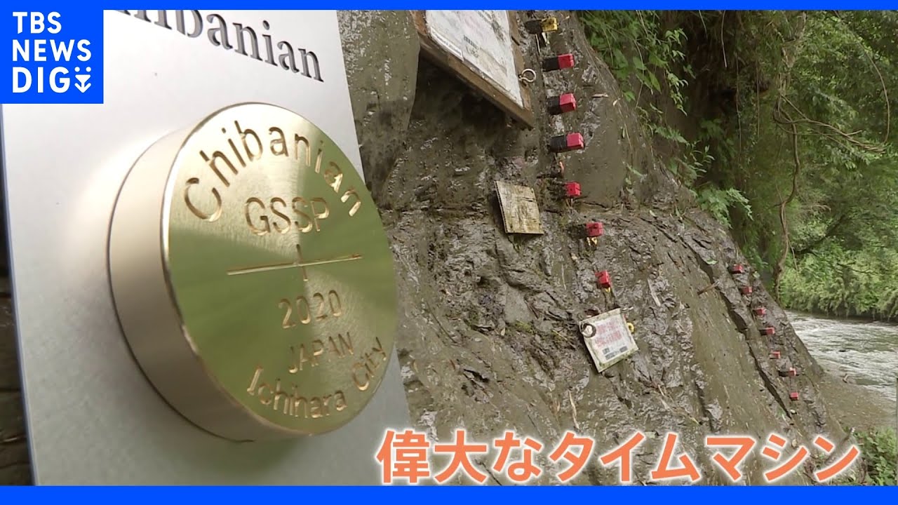 チバニアンの地層に金の杭&nbsp;地球の謎を解くカギを秘めた地層とは｜TBS&nbsp;NEWS&nbsp;DIG