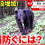 【注意！】”熊との遭遇”どう防ぐ？山で気を付けるポイント　宮城　NNNセレクション