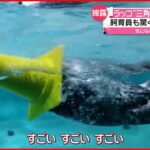 【ラッコ】三角コーンかぶり水中で高速スピン！“新技”披露　鳥羽水族館