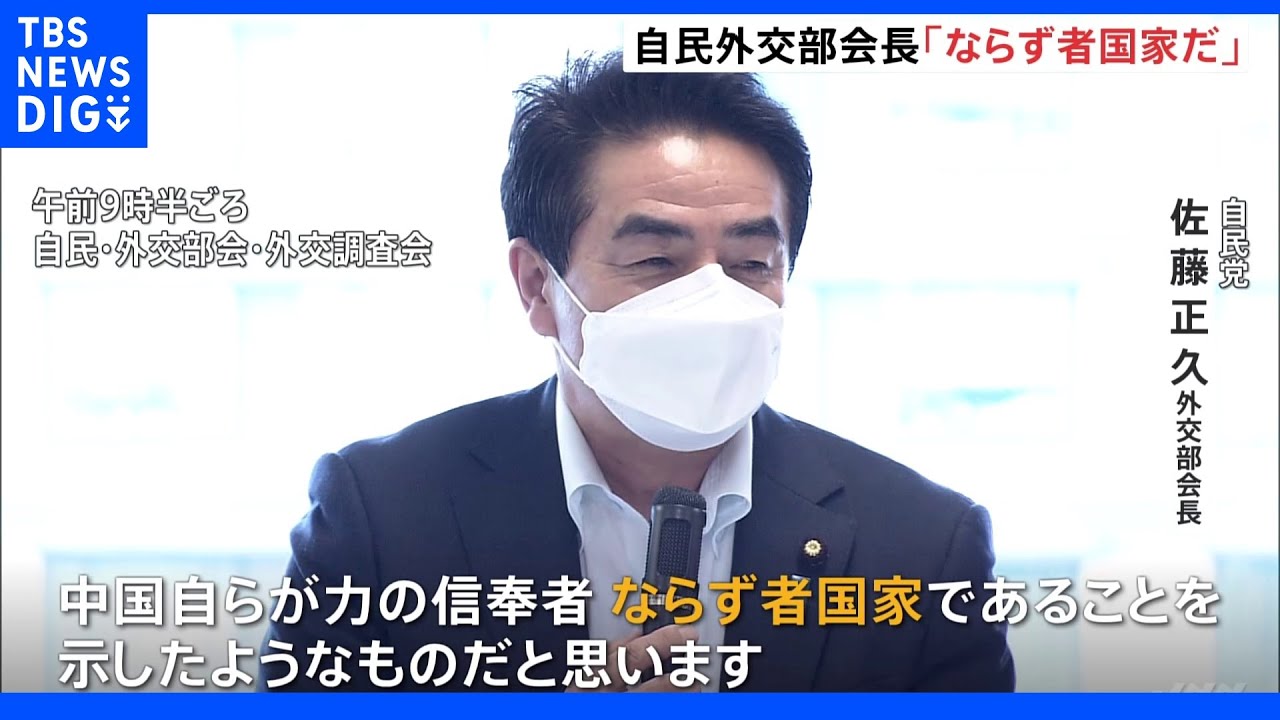 「ならず者国家」中ロ共同飛行受け激しく批判　自民・佐藤外交部会長｜TBS&nbsp;NEWS&nbsp;DIG
