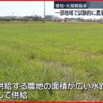 【愛知・大規模漏水】農業用水 一部地域で試験的に供給再開