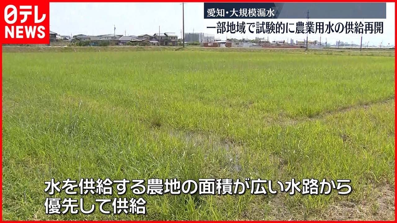 【愛知・大規模漏水】農業用水 一部地域で試験的に供給再開