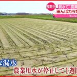 【愛知県”漏水”】“農業用水”一部地域で供給開始　米農家「ほっとした」