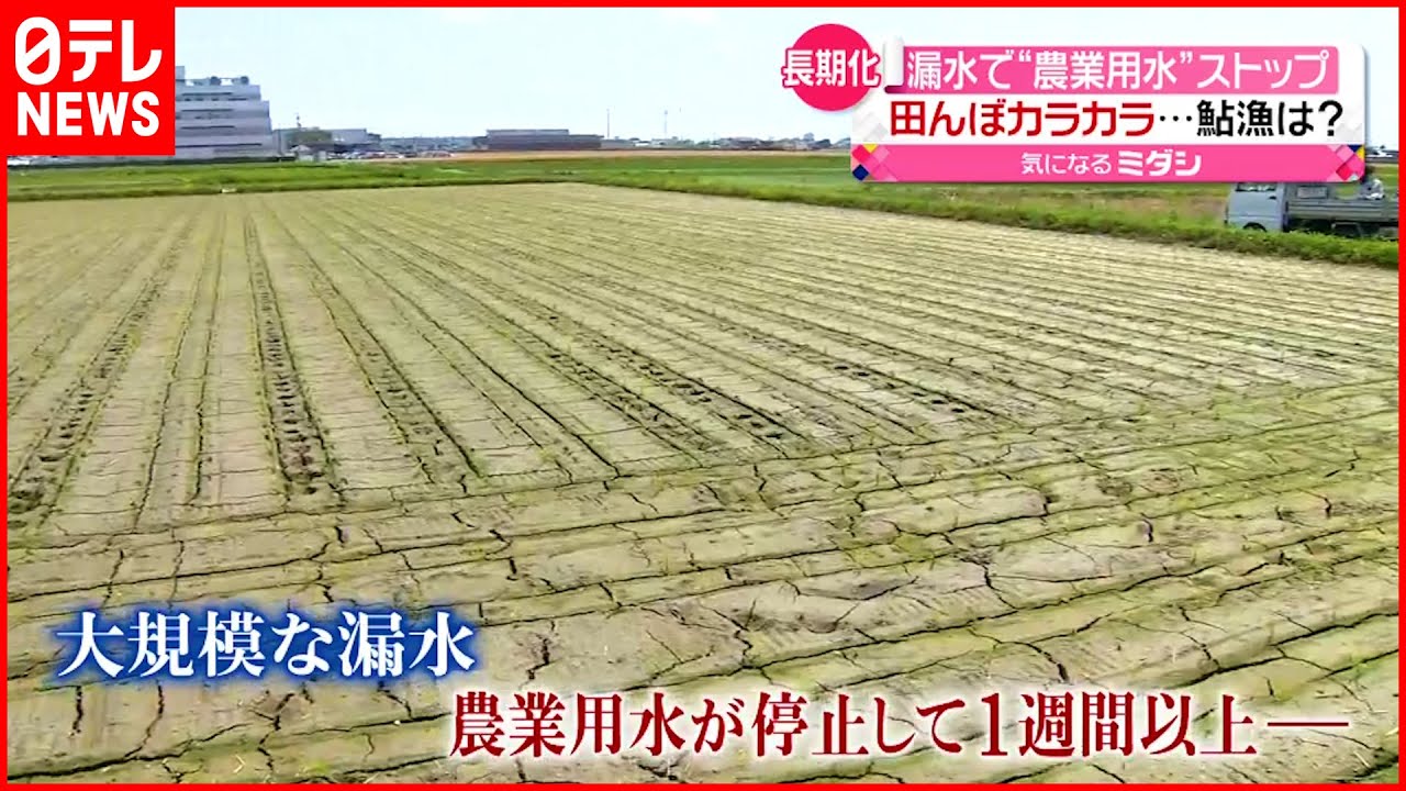 【愛知県”漏水”】“農業用水”一部地域で供給開始　米農家「ほっとした」