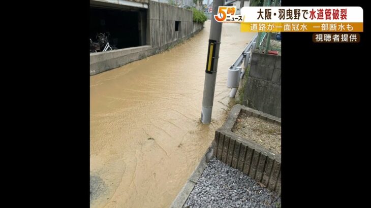 水道管が破裂…周辺住宅の約１１０戸で断水発生　道路も一部冠水　大阪・羽曳野市（2022年5月26日）