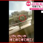 【車が横転】突風の被害相次ぐ…屋根瓦も飛ばされる　福島･二本松市