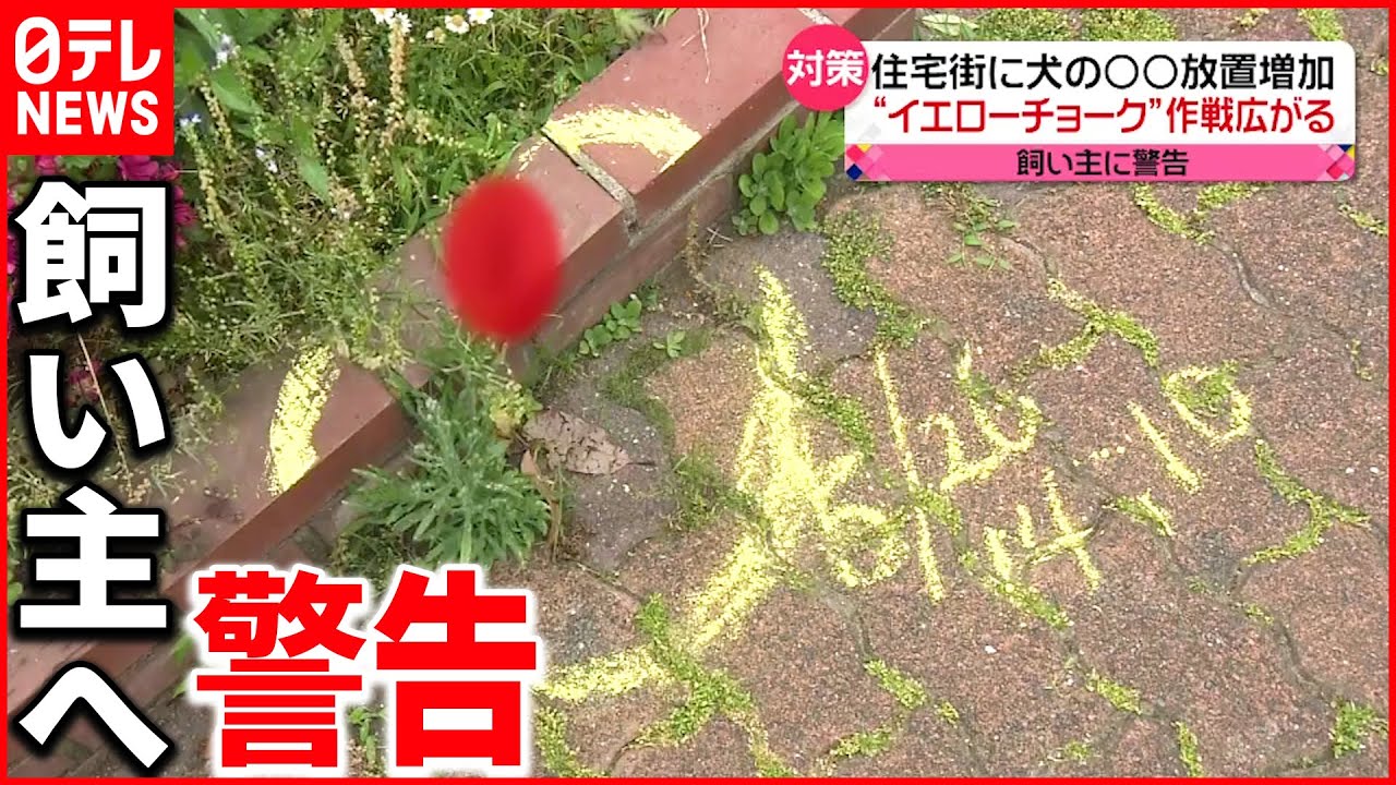 【犬の散歩“マナー違反”】飼い主へ警告「イエローチョーク作戦」広がる