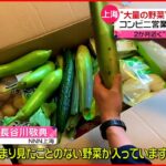 【中国･上海】”大量の野菜”封鎖続き配給　コンビニ営業も店内は入れず