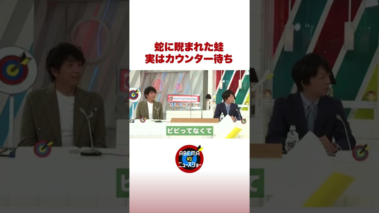 蛇に睨まれた蛙 実はカウンター待ち