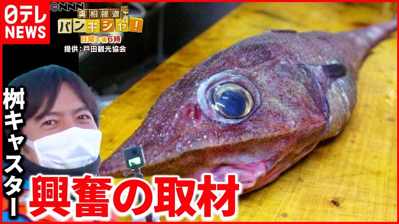 【深海魚】全国の食卓へ…“お味”は? 新たに広がる使い道も『ベタバリ』