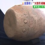 「太鼓の形をした埴輪」が出土　“完全な形”での発見は全国初　奈良・田原本町（2022年5月31日）