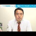 【解説】犬猫にチップ義務化　“期待と課題”　テレビ朝日社会部　川崎豊記者【ABEMA NEWS】(2022年5月31日)