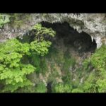 深さ192mの巨大な穴　地底は広大な原始林　中国南部で天然の陥没孔「天坑」新たに発見(2022年5月31日)