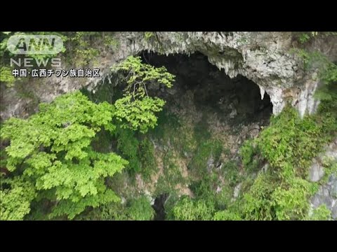 深さ192mの巨大な穴　地底は広大な原始林　中国南部で天然の陥没孔「天坑」新たに発見(2022年5月31日)