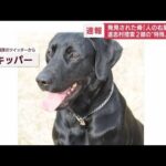 “特別な訓練”土の中もかぎ分け・・・警察犬2頭が道志村の捜索に(2022年5月10日)