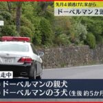 【ドーベルマン】2頭再び逃げ出す…警察が捜索 木更津