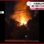 【火事】大阪狭山市の寺 本堂が全焼 2遺体見つかる